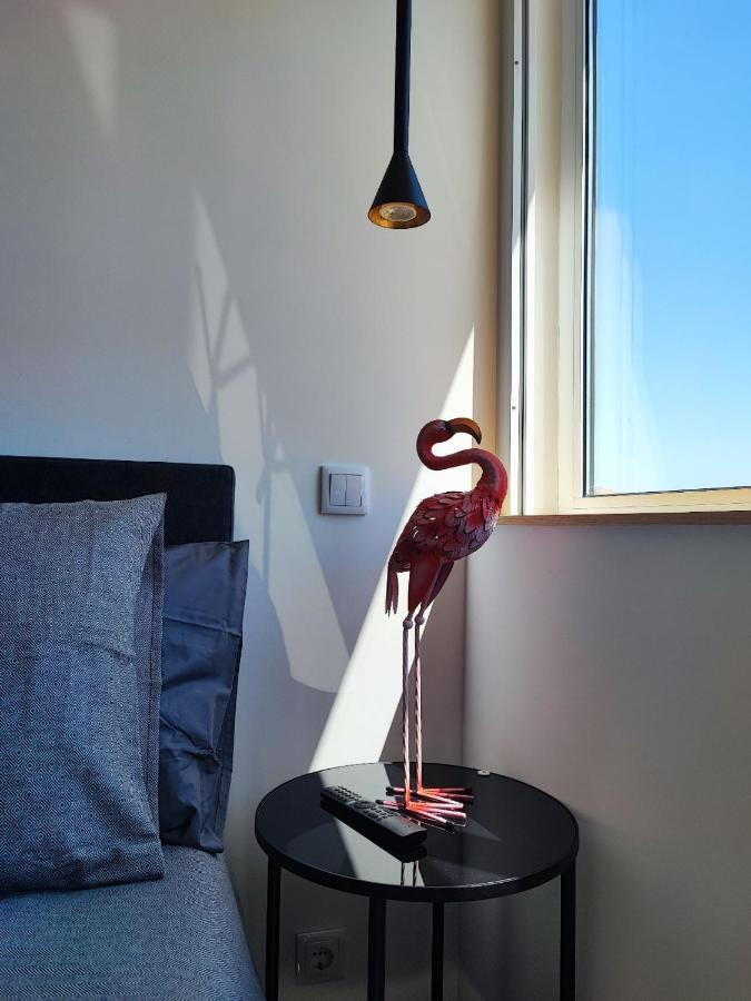 O Flamingo Apartments Ovar Bagian luar foto