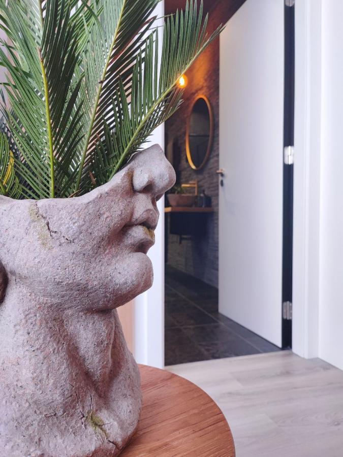 O Flamingo Apartments Ovar Bagian luar foto
